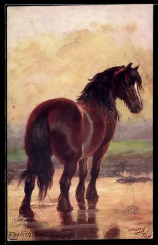 Künstler-AK Harry Payne: Horse Studies, Braunes Pferd