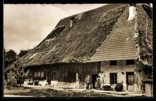 AK Birr-Lupfig, Bauernhaus mit Strohdach