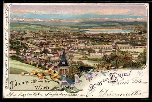 Lithographie Zürich, Totalansicht von der Waid