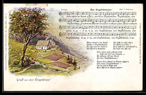 Lied-AK Dar Vuglbärbaam, Vogelbärbaum und Gebäude im Erzgebirge, Liedtext und Musiknoten