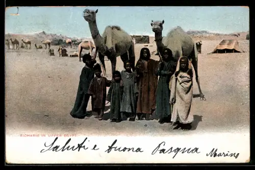 AK Upper Egypt, Bicharis