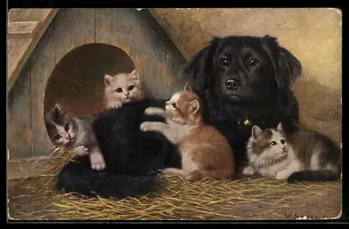 AK Tierfreundschaft zwischen einem Hund und Katzen