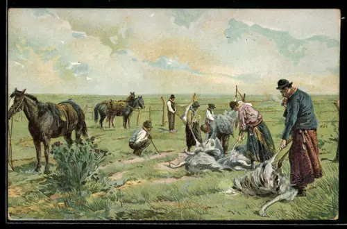AK Argentinien, Escena Campestre-Desplumando Avesstruces