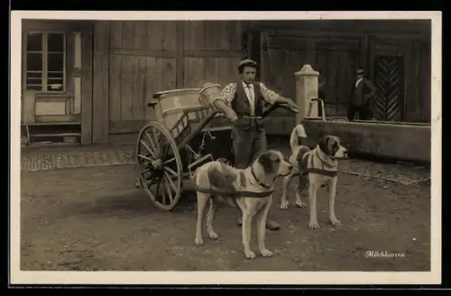 AK Milchkarren wird von Hunden gezogen, Hundegespann