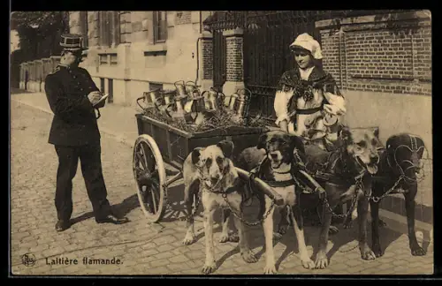 AK Laitière flamande, Milchwagen mit Hundegespann
