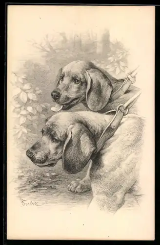Künstler-AK M. Munk Nr. 294: Zwei Hunde im Wald an einer Leine