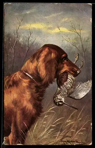 Künstler-AK August Müller - München: Jagdhund mit erbeuteter Schnepfe im Maul