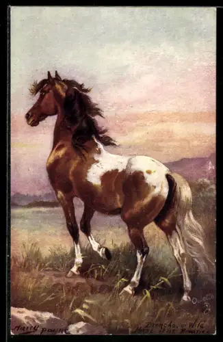 Künstler-AK Harry Payne: Wildpferd in ländlicher Idylle