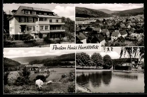 AK Weidenhausen /Kr. Biedenkopf, Pension Haus Hardtblick, Weidende Schafe, Teich