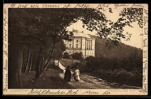 AK Wiesbaden, Jagdschloss Platte