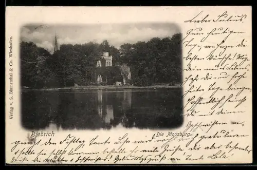 AK Biebrich, Die Moosburg