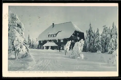 AK Hornisgrinde /Bad. Schwarzwald, Rasthaus im Schnee