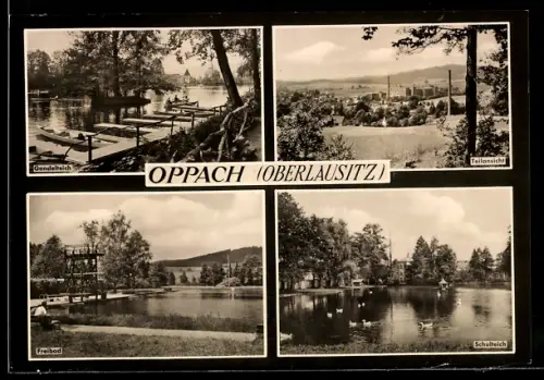 AK Oppach /Oberlausitz, Gondelteich, Freibad, Schulteich und Ortspartie