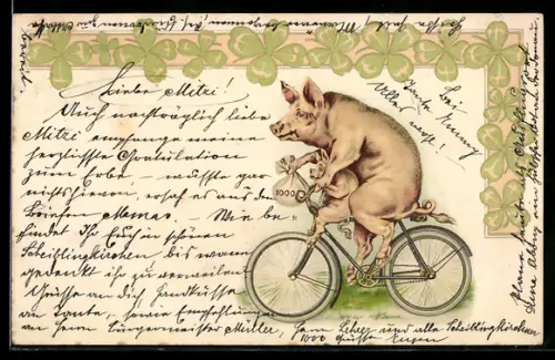 AK Schwein hält einen Geldsack und fährt mit dem Fahrrad, vermenschlichte Tiere