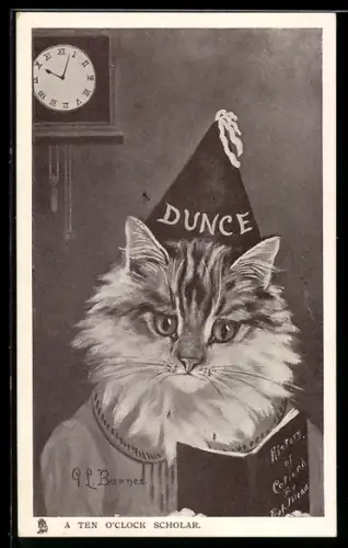 AK Katze mit Hütchen liest ein Buch, vermenschlichte Tiere