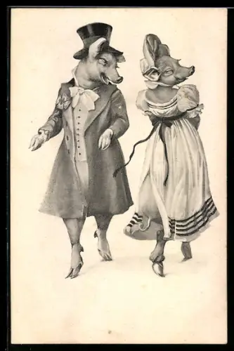 AK Schweine in eleganter Kleidung beim Spaziergang, vermenschlichte Tiere