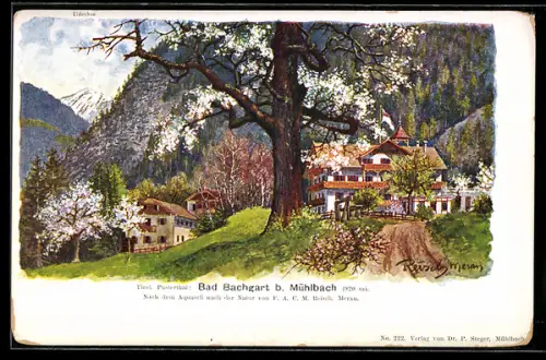 Künstler-AK F. A. C. M. Reisch: Mühlbach, Bad Bachgart im Frühling