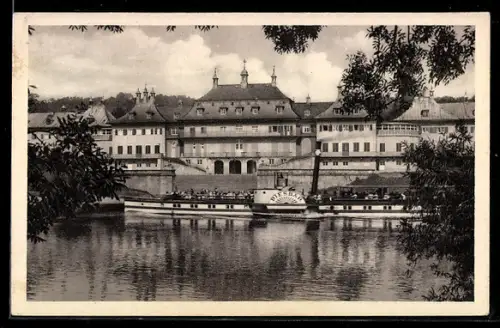 AK Elbedampfer Diesbar in Fahrt vor dem Schloss Pillnitz