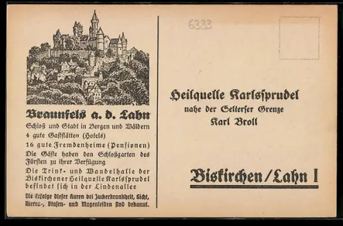 Künstler-AK Braunfels a. d. Lahn, Schloss, Ortsansicht, Korrespondenzkarte Heilquelle Karlssprudel