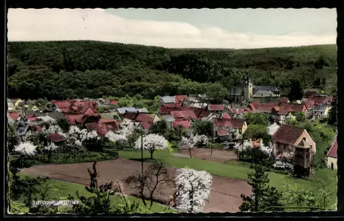 AK Schönbach /Dillkr., Ortsansicht mit Kirche und bewaldeter Umgebung