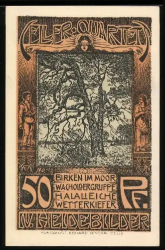 Notgeld Celle 1922, 50 Pf, Birken im Moor, Wacholdergruppe, Halaleiche, Wetterkiefer, mit Stadtwappen