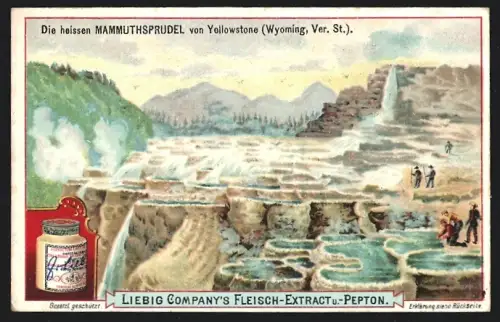 Sammelbild Liebig, Die heissen Mammuthsprudel von Yellowstone, Wyoming