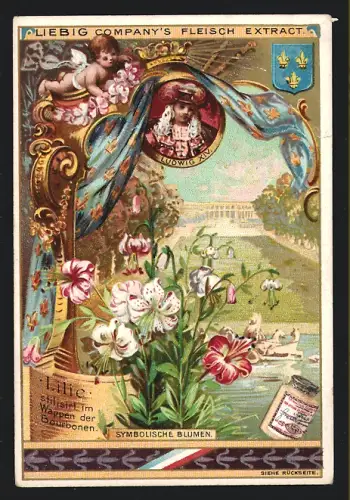 Sammelbild Liebig, Symbolische Blumen, Lilie, Stilisiert im Wappen der Bourbonen