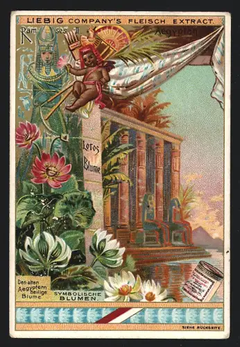 Sammelbild Liebig, Symbolische Blumen, Lotusblume, Den alten Ägyptern heilige Blume