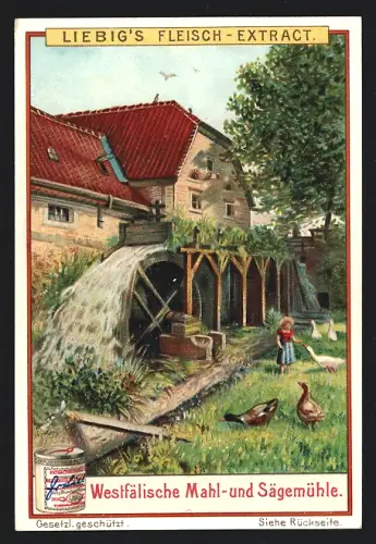 Sammelbild Liebig, Westfälische Mahl- und Sägemühle
