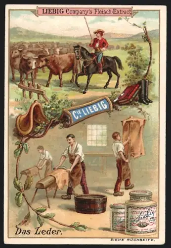 Sammelbild Liebig, Das Leder, Rinderherde, Gerber bei der Arbeit