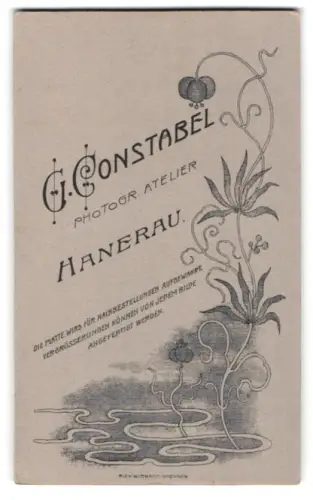Fotografie G. Constabel, Hanerau, Rankende Wasserpflanzen, Jugendstil