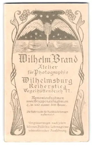 Fotografie Wilhelm Brand, Wilhelmsburg, Reiherstieg, Fliegender Schwan vor Sternenhimmel, Jugendstil