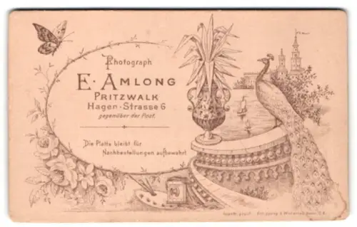 Fotografie E. Amlong, Pritzwalk, Hagen-Strasse 6, Pfau auf eine Balustrade, Blumen, Palette, Kamera und Schmetterling