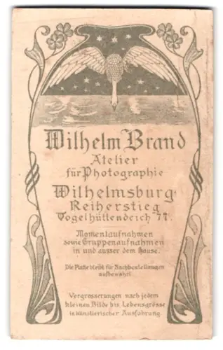 Fotografie Wilhelm Brand, Wilhelmsburg, Reiherstieg, Schwan vor Nachthimmel, Jugendstil