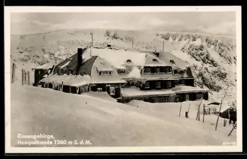 AK Hampelbaude /Riesengebirge, Bergbaude im Schnee
