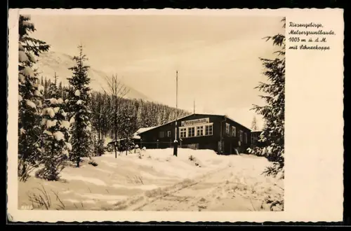 AK Melzergrundbaude /Riesengebirge, Winteransicht mit Schneekoppe