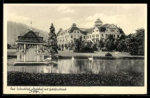 AK Bad Salzschlirf, Badehof mit Goldfischteich und Schwänen