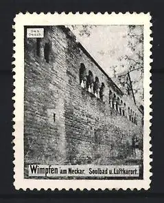 Reklamemarke Wimpfen am Neckar, Solbad u., historische Stadtmauer
