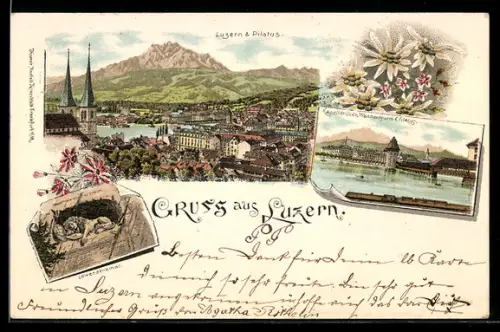Lithographie Luzern, Luzern & Pilatus, Kapellbrücke, Löwendenkmal