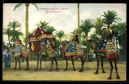 AK Chameaux portant les cymballers des noces arabes, Kamelkarawane