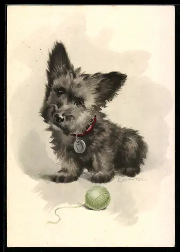 AK Süsser Terrier mit Wollballen