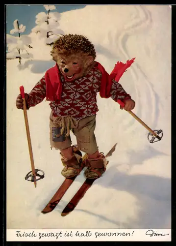 AK Mecki beim Skifahren