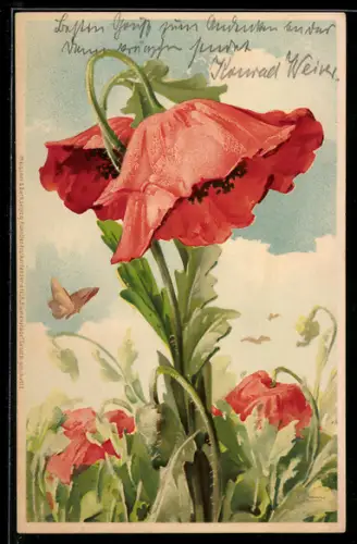 Künstler-AK Mohnblume mit Schmetterling