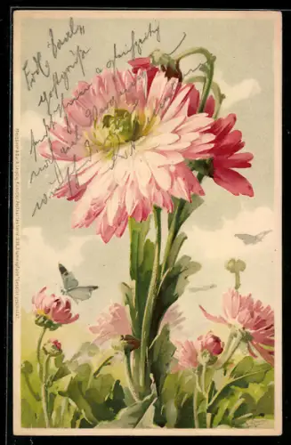 Künstler-AK Catharina Klein: rosafarbene Blumen mit Schmetterlingen