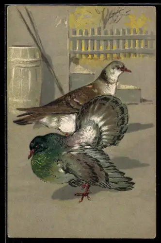 Lithographie Zwei Tauben auf dem Boden in einem Hof