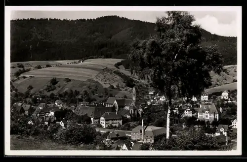 AK Alpirsbach /Schwarzwald, Gesamtansicht aus der Vogelschau