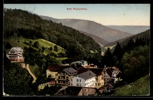 AK Bad Rippoldsau, Ortsansicht im Tal mit umliegenden Bergen und Wald