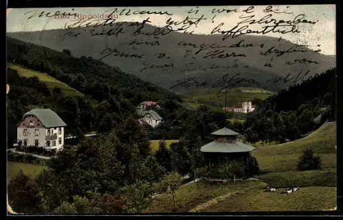 AK Bad Rippoldsau, Pavillon und Häuser im Tal