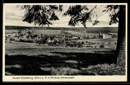 AK Schömberg b. Wildbad, Ortsansicht mit Umgebung