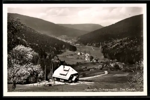 AK Herrenalb /Schwarzwald, Das Gaistal